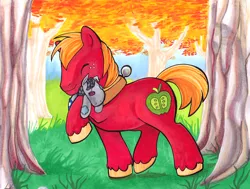 Size: 1000x757 | Tagged: safe, artist:lizspit, derpibooru import, big macintosh, smarty pants, earth pony, pony, autumn, cute, eyes closed, hug, macabetes, male, marker drawing, stallion, traditional art