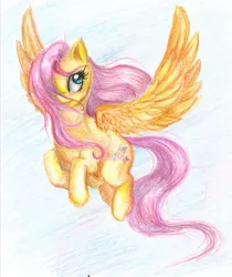 Size: 1231x1464 | Tagged: artist:shad-o-ren, derpibooru import, fluttershy, safe, traditional art