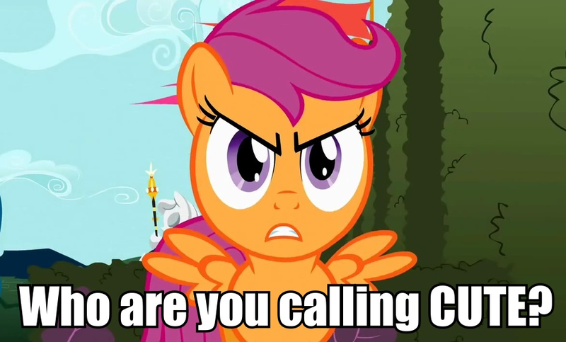 Size: 945x570 | Tagged: angry, cute, cutealoo, derpibooru import, image macro, i'm not cute, safe, scootaloo, scootaloo is not amused