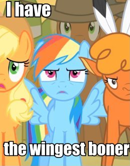 Size: 260x331 | Tagged: safe, derpibooru import, edit, edited screencap, screencap, applejack, little strongheart, rainbow dash, buffalo, earth pony, pegasus, pony, over a barrel, caption, cropped, something else also rises, wingboner