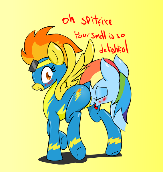 Size: 1937x2039 | Tagged: artist:zev, blushing, derpibooru import, female, fetish, lesbian, olfactophilia, plot, questionable, rainbow dash, shipping, sniffing, spitdash, spitfire, wonderbolts uniform