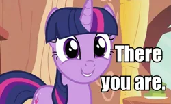 Size: 885x537 | Tagged: safe, derpibooru import, screencap, twilight sparkle, pony, unicorn, cute, female, image macro, looking at you, smiling, twiabetes