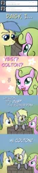 Size: 650x2885 | Tagged: safe, artist:why485, derpibooru import, daisy, derpy hooves, flower wishes, goldengrape, sir colton vines iii, earth pony, pegasus, pony, ask the flower trio, daisygrape, female, male, mare, shipping, stallion, straight, tumblr, well