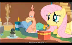 Size: 1024x640 | Tagged: a bird in the hoof, captain obvious, derpibooru import, fluttershy, philomena, safe, screencap, youtube caption