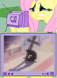 Size: 565x771 | Tagged: safe, derpibooru import, fluttershy, pony, exploitable meme, fluttercry, meme, nicholas d. wolfwood, sad, trigun, tv meme