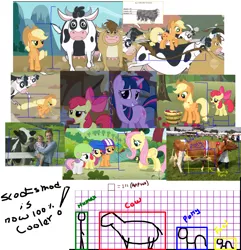 Size: 2087x2165 | Tagged: analysis, apple bloom, applejack, bessie, chart, cow, cow scale, derpibooru import, fluttershy, high res, hubble, hub logo, safe, science, scootaloo, size chart, size comparison, sweetie belle, twilight sparkle, udder