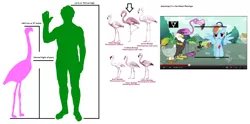 Size: 1834x908 | Tagged: derpibooru import, flamingo, rainbow dash, safe, size chart, size comparison, the more you know