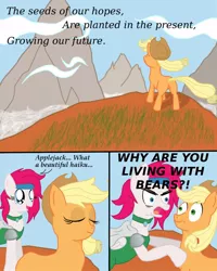 Size: 800x1000 | Tagged: applejack, artist:apotheosic, comic, derpibooru import, haiku, oc, oc:phoe, pony fantasy vi, safe