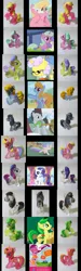 Size: 699x2330 | Tagged: apple family member, apple fritter, apple stars, background pony, banana fluff, barber groomsby, berry dreams, cherry pie, comparison, derpibooru import, glasses, holly dash, irl, lily, lily valley, lonsdaleite, lucky clover, photo, rarity, safe, toy