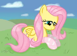 Size: 1000x733 | Tagged: artist:lunarapologist, clothes, derpibooru import, fluttershy, safe, socks, solo