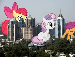 Size: 3648x2736 | Tagged: safe, derpibooru import, apple bloom, scootaloo, sweetie belle, pony, bangalore, city, cutie mark crusaders, giant pegasus, giant pony, giant unicorn, giant/macro cutie mark crusaders, giant/macro earth pony, giantess, high res, highrise ponies, macro