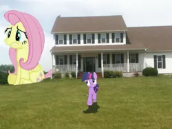 Size: 960x720 | Tagged: safe, derpibooru import, fluttershy, twilight sparkle, pony, giant pony, giantess, house, macro, ponies in real life, wat