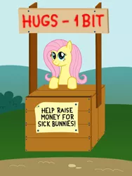 Size: 1320x1754 | Tagged: artist:evaxilth, booth, charity, derpibooru import, fluttershy, hug, safe