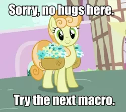 Size: 386x345 | Tagged: safe, derpibooru import, edit, edited screencap, screencap, junebug, earth pony, pony, anti-bronybait, flower, hug, image macro