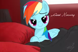 Size: 900x603 | Tagged: safe, artist:dyani-yahto, derpibooru import, rainbow dash, pegasus, pony, bed, bedroom eyes, good morning, morning, morning ponies, solo