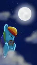 Size: 436x760 | Tagged: dead source, safe, artist:twilightspc, derpibooru import, rainbow dash, smarty pants, fanfic, fanfic:dream of me, cloud, cloudy, crying, explicit source, fanfic art, fanfic cover, female, lesbian, moon, night, night sky, sad, shipping, sky, twidash