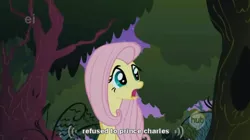 Size: 634x354 | Tagged: safe, derpibooru import, screencap, fluttershy, stare master, ei, hub logo, prince charles, youtube caption