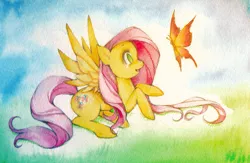 Size: 800x520 | Tagged: artist:sererena, butterfly, derpibooru import, fluttershy, safe, solo, traditional art