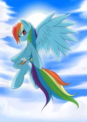 Size: 800x1120 | Tagged: dead source, safe, artist:phon-e, derpibooru import, rainbow dash, pegasus, pony, air, badass, cloud, cloudy, flying, solo, wings