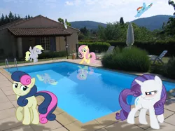 Size: 870x652 | Tagged: safe, artist:destructodash, derpibooru import, bon bon, derpy hooves, fluttershy, rainbow dash, rarity, sweetie drops, pony, irl, photo, ponies in real life, reflection, swimming pool, vector