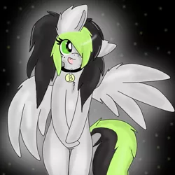 Size: 873x872 | Tagged: safe, derpibooru import, oc, oc:bree jetpaw, unofficial characters only, pegasus, pony, bipedal, chest fluff, collar, cute, fangs, fluffy, gray, hair over one eye, open mouth, pet tag, shiny, smiling, solo, spread wings, wing fluff