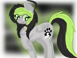 Size: 1280x960 | Tagged: safe, derpibooru import, oc, oc:bree jetpaw, unofficial characters only, pegasus, pony, cute, gray, shiny, solo, stance