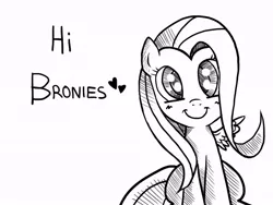 Size: 800x600 | Tagged: safe, artist:celine-artnsfw, derpibooru import, fluttershy, pegasus, pony, :i, blushing, brony, bronybait, c:, cute, female, fourth wall, grayscale, heart, hi, looking at you, mare, monochrome, shyabetes, simple background, sitting, smiling, solo, spread wings, talking to viewer, text, white background, wings