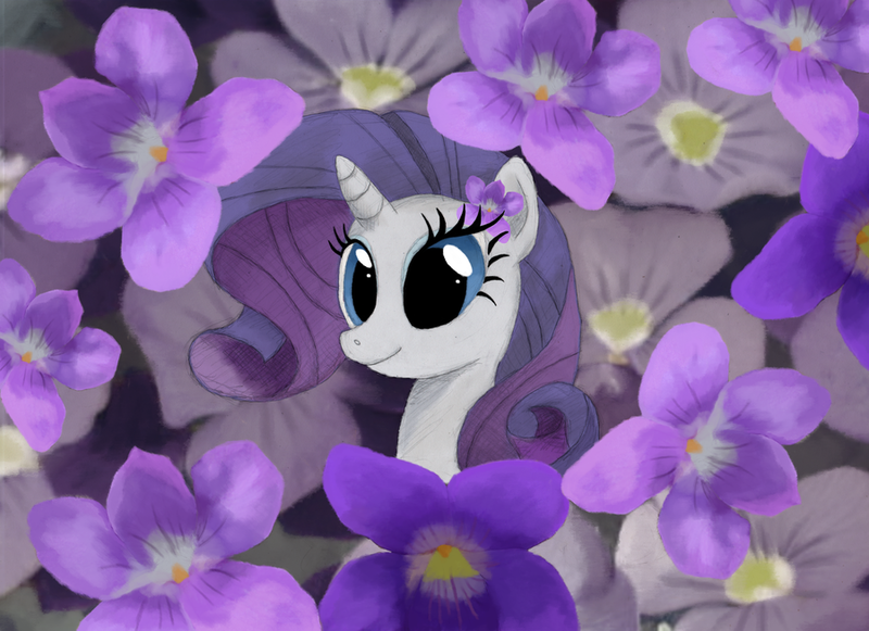 Size: 900x654 | Tagged: artist:hewison, derpibooru import, flower, rarity, safe, solo, violet (flower)