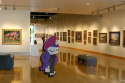 Size: 900x598 | Tagged: dead source, safe, artist:blissfulbiscuit, derpibooru import, rarity, pony, art museum, beatnik rarity, beret, clothes, hat, irl, photo, ponies in real life, vector