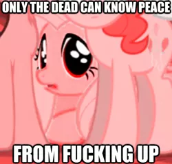 Size: 455x435 | Tagged: artist:mixermike622, derpibooru import, fluttershy, image macro, now you fucked up, only the dead can know peace from this evil, safe, vulgar