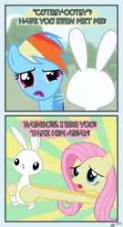 Size: 800x1480 | Tagged: angel bunny, angel is a bunny bastard, artist:mafon, comic, derpibooru import, fluttershy, rainbow dash, safe