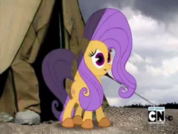 Size: 768x576 | Tagged: cartoon network, derpibooru import, expy, fluttershy, mad magazine, mad (tv series), my little war horse, pony cameo, pony reference, safe, screencap, tent, youtube link