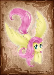 Size: 504x701 | Tagged: safe, artist:skyheavens, derpibooru import, fluttershy, pegasus, pony, solo, spread wings, wings