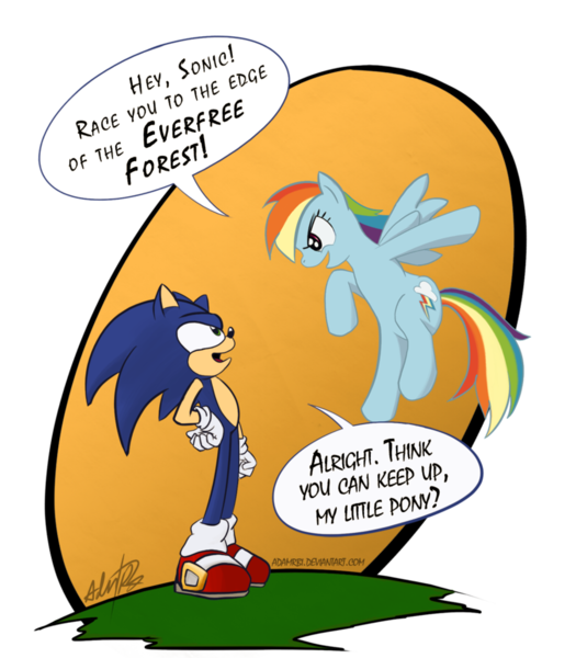 Size: 900x1029 | Tagged: artist:adamrbi, crossover, dead source, derpibooru import, everfree forest, race, rainbow dash, safe, simple background, sonic the hedgehog, sonic the hedgehog (series), transparent background