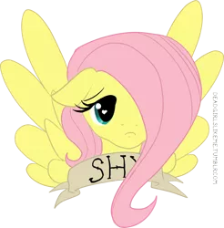 Size: 964x979 | Tagged: safe, artist:deadgirlslikeme, derpibooru import, fluttershy, pegasus, pony, bust, female, floppy ears, full face view, hair over one eye, mare, old banner, portrait, shy, simple background, solo, spread wings, transparent background, wings