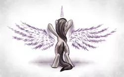 Size: 2560x1600 | Tagged: safe, artist:kp-shadowsquirrel, derpibooru import, octavia melody, alicorn, earth pony, pony, against wall, aspiration, beautiful, bipedal, chalk, denied, horn, photoshop, reaching, rear view, solo, spread wings, tearjerker, wallpaper, wings