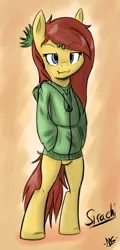 Size: 600x1250 | Tagged: safe, artist:microgrid, derpibooru import, oc, oc:sirachi, unofficial characters only, pony, bipedal, bottomless, clothes, hoodie, partial nudity, solo