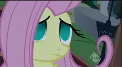 Size: 699x386 | Tagged: derpibooru import, dull eyes of unhappiness, empty eyes, fluttershy, no catchlights, no pupils, safe