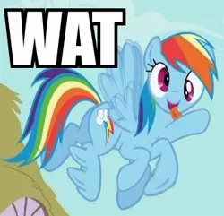 Size: 323x311 | Tagged: derp, derpibooru import, great moments in animation, image macro, rainbow dash, reaction image, safe, smear frame