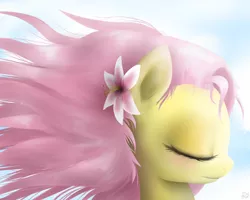 Size: 1000x800 | Tagged: artist:mlpanon, blushing, bust, cute, dead source, derpibooru import, eyes closed, flower in hair, fluttershy, portrait, profile, safe, shyabetes, solo, windswept mane