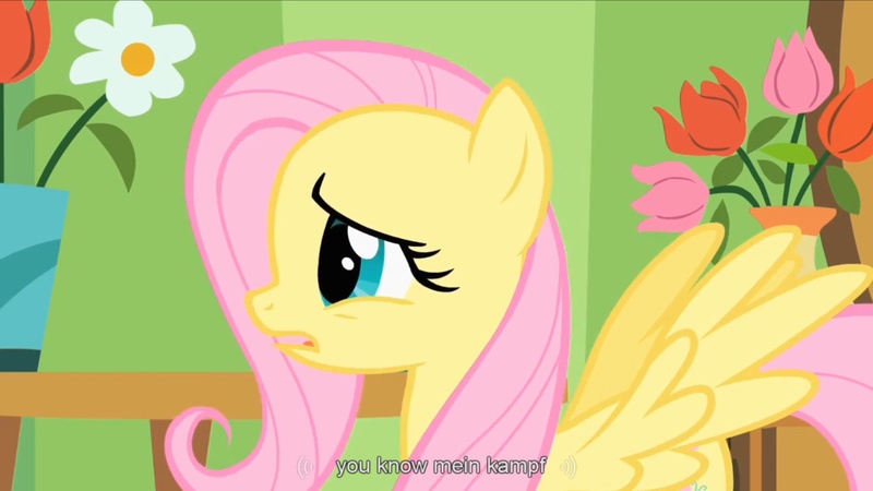 Size: 1344x756 | Tagged: derpibooru import, fluttershy, green isn't your color, mein kampf, safe, screencap, youtube caption