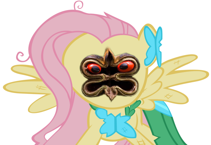 Size: 1515x1046 | Tagged: derpibooru import, fluttershy, safe, wat