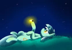 Size: 3507x2480 | Tagged: artist:bewegungslos, derpibooru import, firefly (insect), high res, lyra heartstrings, night, on back, safe