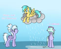 Size: 850x675 | Tagged: artist:marikaefer, cloudchaser, derpibooru import, dialogue, flitter, hair over eyes, hidden eyes, hilarious in hindsight, pink text, purple text, rain, safe, sunshower raindrops, wet, wet mane