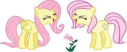 Size: 1328x548 | Tagged: safe, artist:alisonwonderland1951, derpibooru import, fluttershy, posey, earth pony, pegasus, pony, duo, eyes closed, female, flower, flutteryay, g1, g1 to g4, g4, generation leap, mare, yay