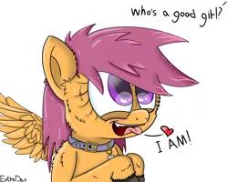 Size: 5000x4000 | Tagged: safe, artist:extradan, artist:extrart, derpibooru import, scootaloo, pegasus, pony, collar, cutie mark, cutie mark collar, dialogue, female, femsub, filly, good girl, heart, lesboloo, looking up, offscreen character, pet tag, solo, submissive, tongue out