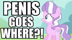 Size: 848x470 | Tagged: caption, derpibooru import, diamond tiara, edit, edited screencap, filly, hubble, hub logo, image macro, meme, scared, screencap, suggestive, text, the hub