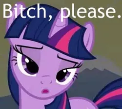 Size: 300x270 | Tagged: bedroom eyes, bitch please, caption, derpibooru import, image macro, reaction image, safe, twilight sparkle, vulgar