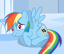 Size: 640x540 | Tagged: safe, derpibooru import, screencap, rainbow dash, pegasus, pony, sonic rainboom (episode), 15, animated, cowering, cutiemarking, female, fetal position, frown, horrified, hub logo, mare, prone, scared, scaredy dash, shivering, solo, spread wings, wide eyes, wings