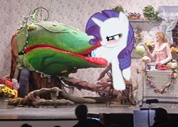 Size: 360x257 | Tagged: safe, derpibooru import, rarity, pony, unicorn, audrey 2, blushing, butt first, carnivorous plant, female, fetish, little shop of horrors, mare, photo, vore